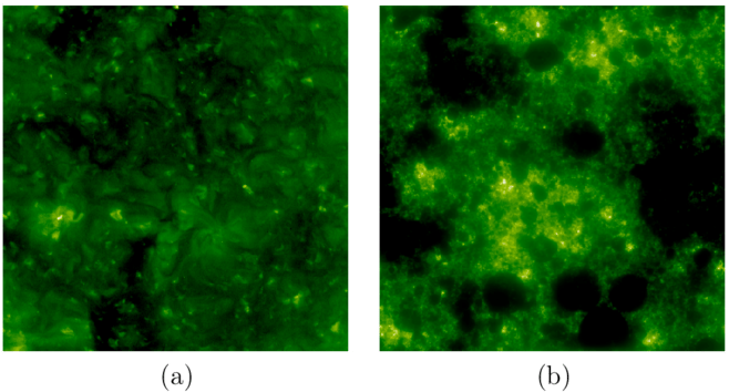 Exemples D'images 512×512 De Soleil Calme, (850x383), Png Download