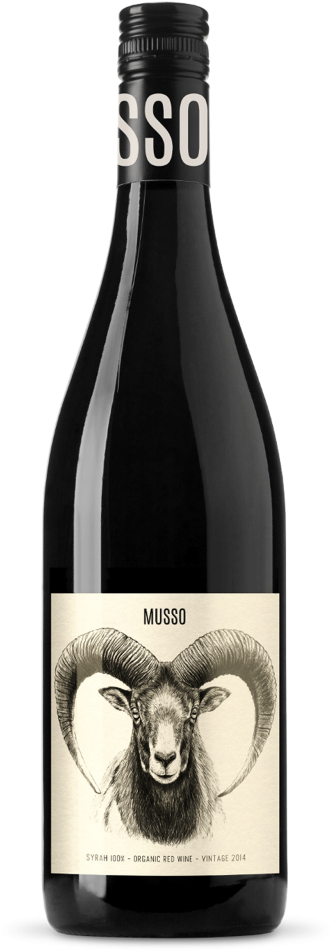 Musso Syrah Vino Tinto, Vino De España, Botellas De (492x1024), Png Download