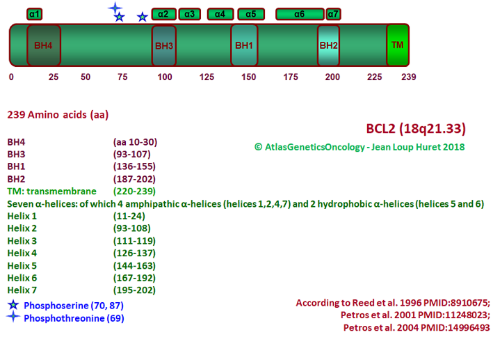 Description (709x484), Png Download