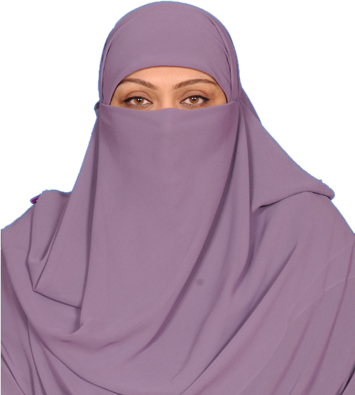 Aliya Kamran Member Mmap Party Png Picture (510x660), Png Download