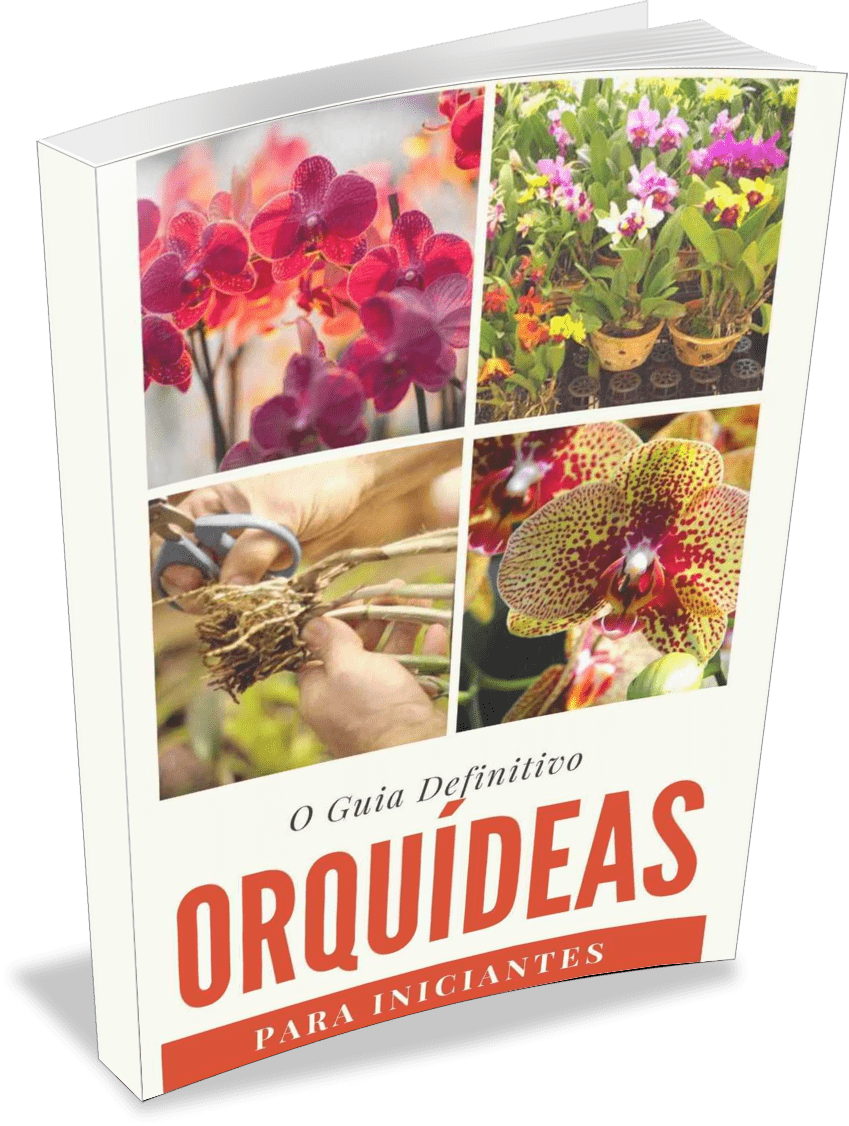 Baixe Agora Mesmo O Manual De Orquídeas Guia Definitivo (849x1126), Png Download