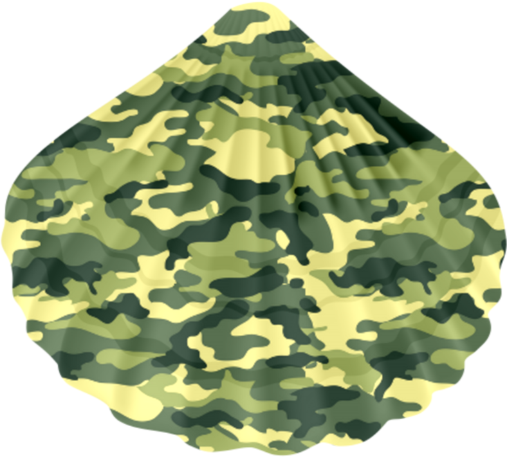 Objetos, Imagens E Ícones Com Textura Camuflada Em (800x800), Png Download