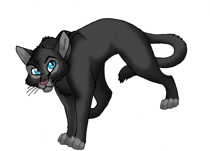 Crowfeather Fanart By Windwolf13-d2xt7pa (900x710), Png Download