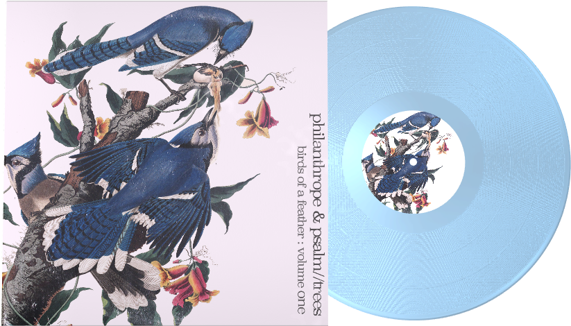 Crow Feather Png (1326x677), Png Download
