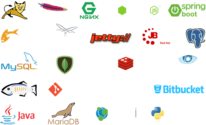 Indian Cloud Hosting (1000x523), Png Download