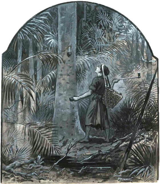 Insatisfeitos Com A Situação Miserável Em Que Viviam, (560x644), Png Download