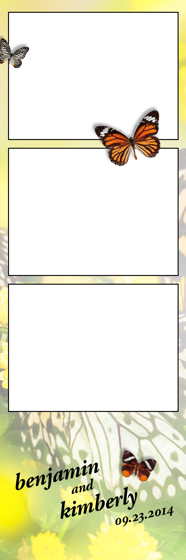 Spring Butterflies (600x1800), Png Download