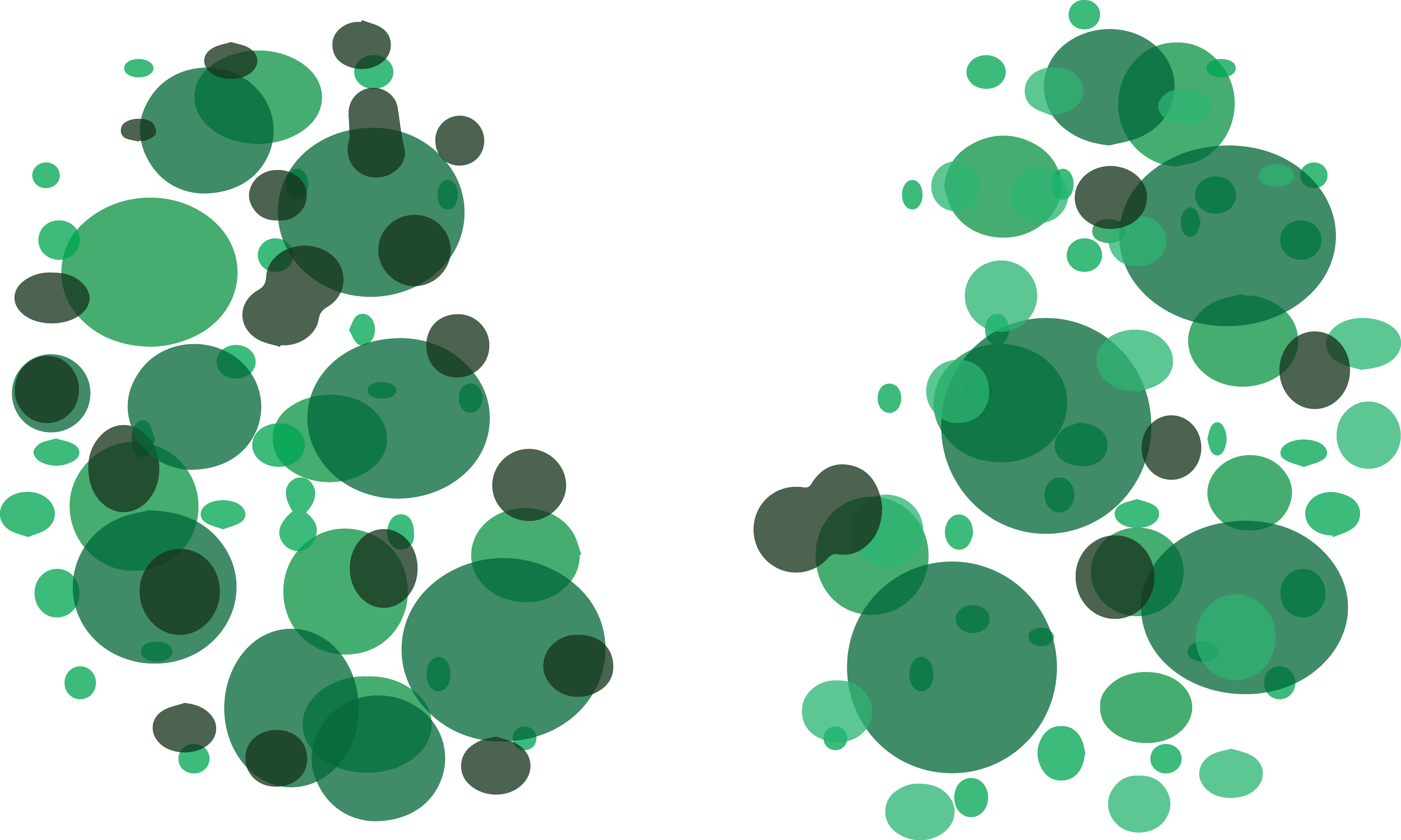 Home - Kidneys (4349x2609), Png Download