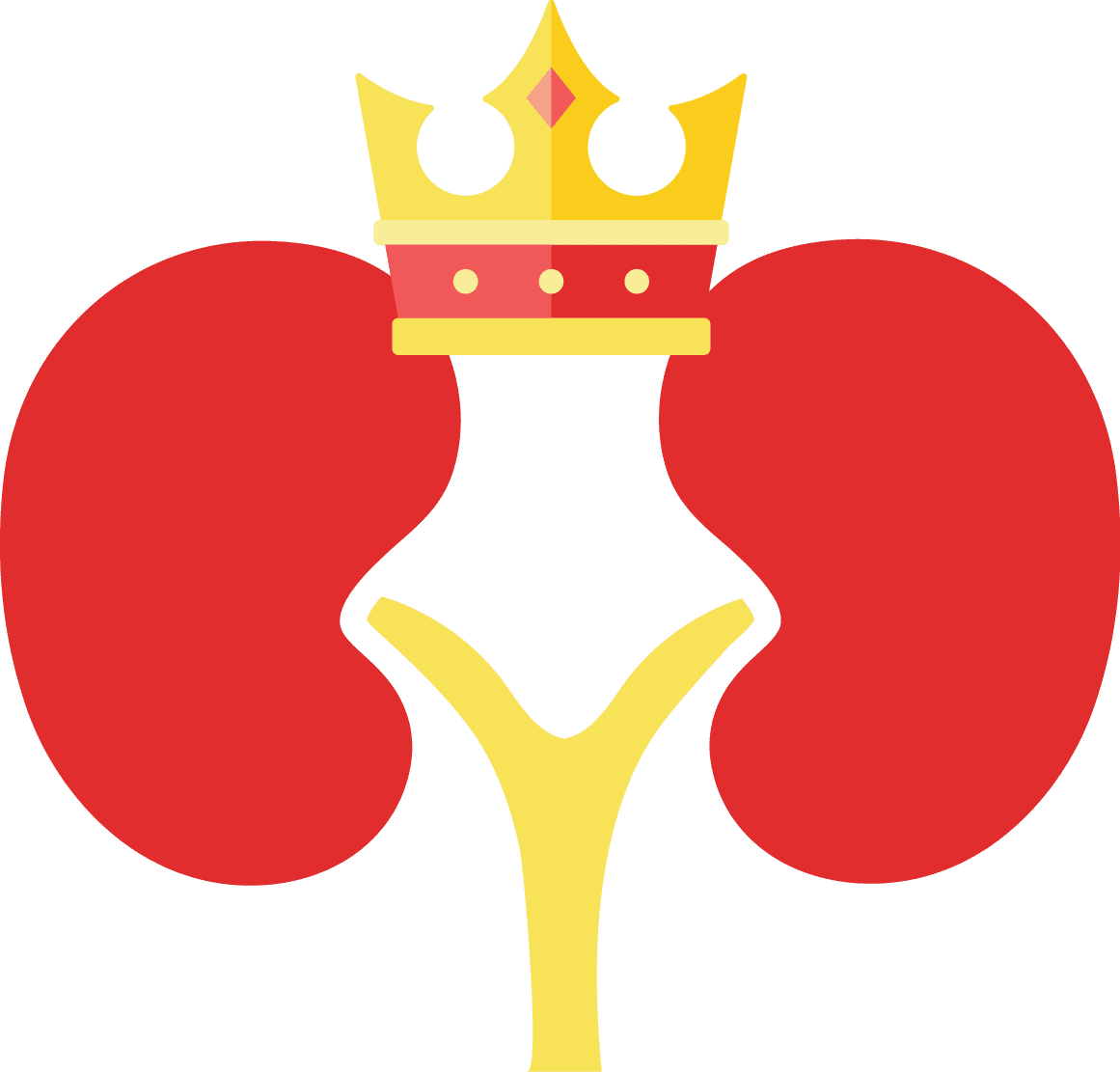Svg Free Library Kidney Clipart Nephrologist (1161x1111), Png Download
