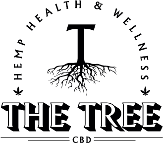 Tree Png Transparente (842x595), Png Download