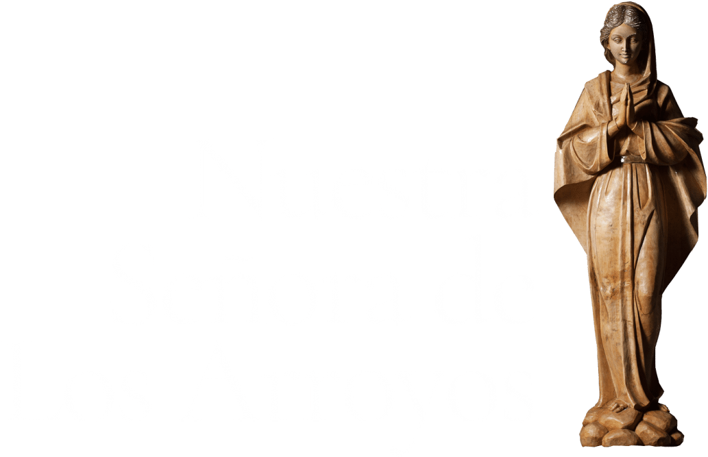 Contacto (1200x1016), Png Download