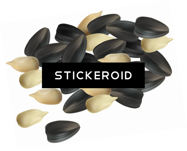 Sunflower Seeds Fruits Nuts (655x529), Png Download