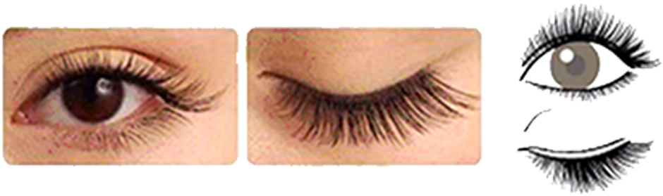 Longer Lashes Are Placed At The Center Of The Eyes, (1000x335), Png Download