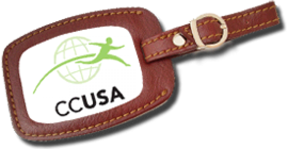 Cropped Luggage Tag (990x513), Png Download