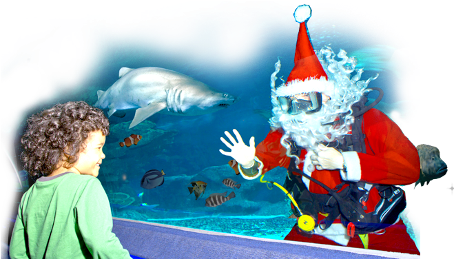 Slide Navidad Papa Noel (924x375), Png Download