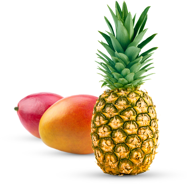 Frutas Tropicales (650x650), Png Download
