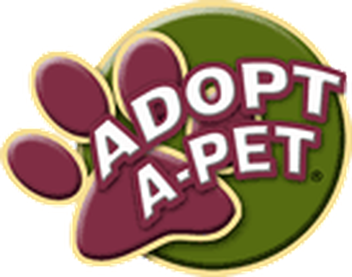 Petland's Adopt A Petsm Program Has Been A Tremendous (1170x922), Png Download