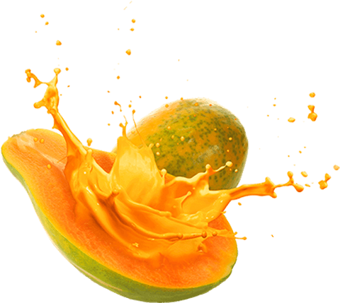 Papaya Fruta Madurada El Sol (525x600), Png Download