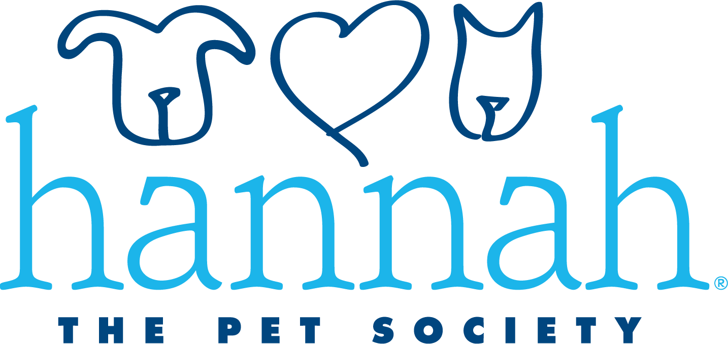Hannah The Pet Society (1434x678), Png Download
