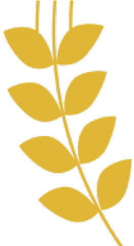 Wheat Clipart Trigo (640x480), Png Download