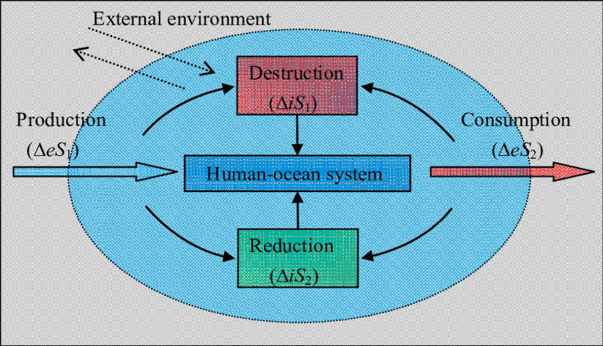 Basic Metabolic Processes In Human Ocean System Evolution (850x488), Png Download