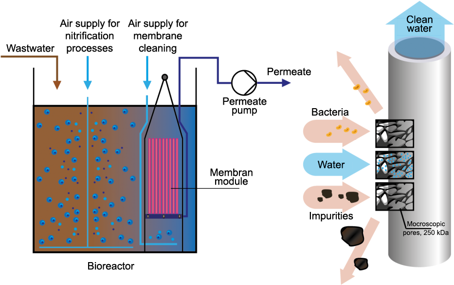 To Announce The Appearance Of A Completely New For (1024x661), Png Download