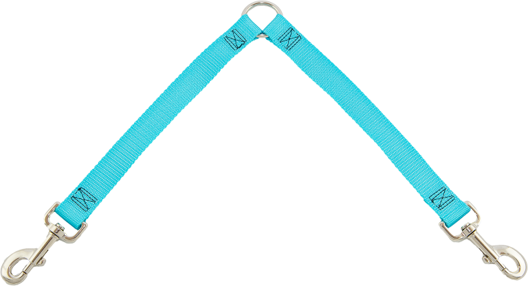 Two Dog Walking Attachment (768x417), Png Download