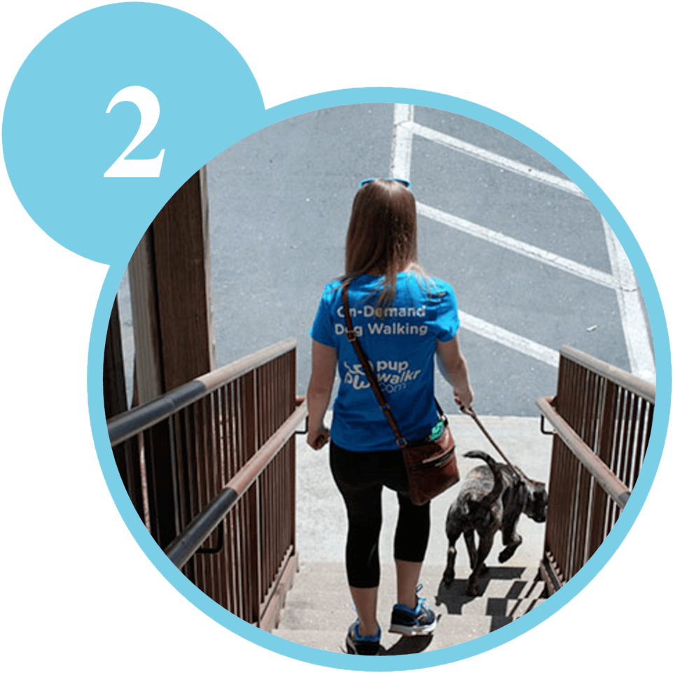Small Pupwalkr Step 2 (1000x986), Png Download