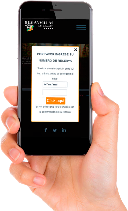 When You Fill Up This Form, You Will Only Need To Show (600x739), Png Download