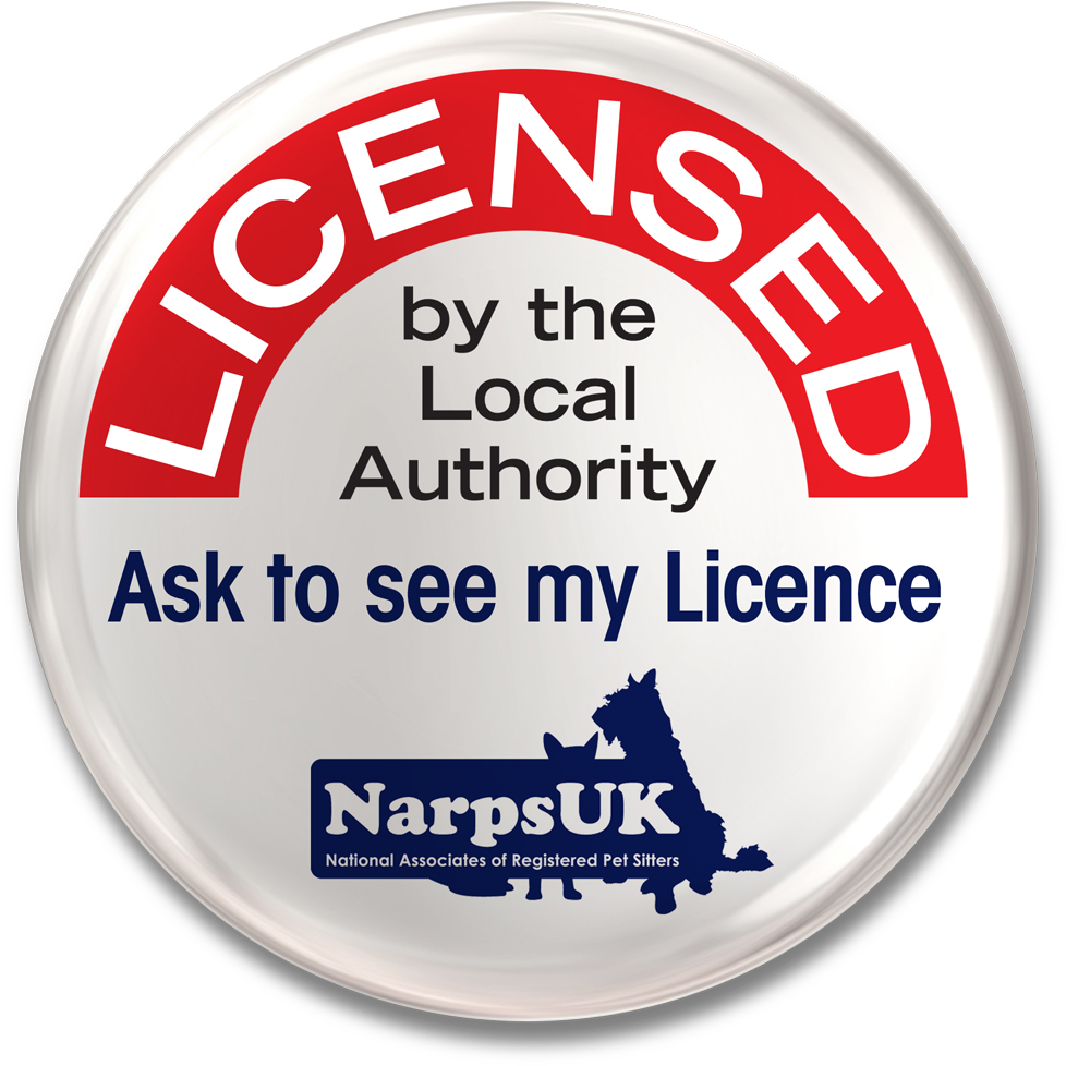 Dog Walking (1086x1086), Png Download