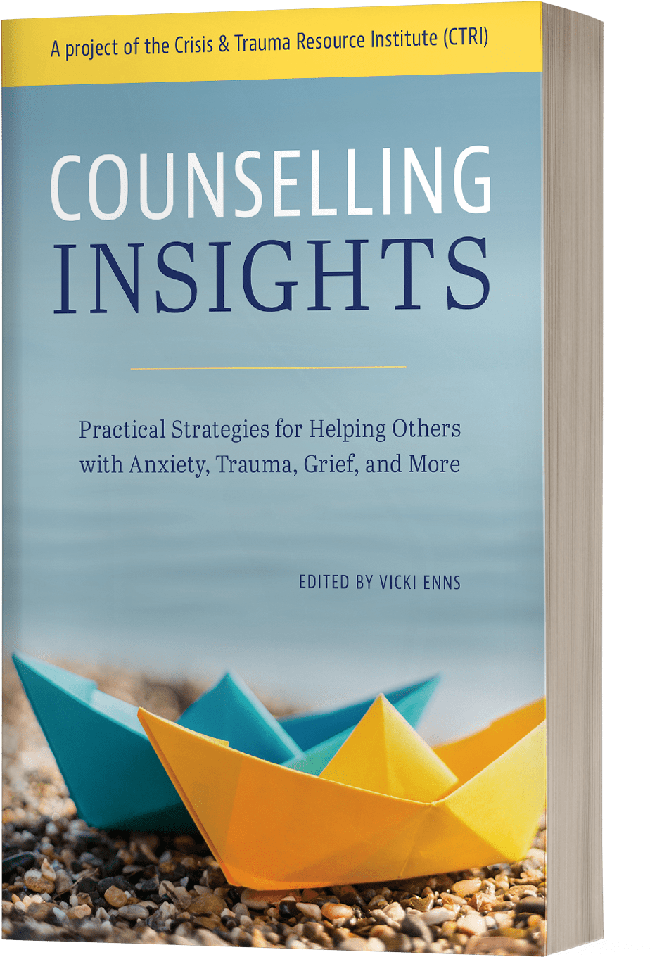 Image Of Counselling Insights Book (1320x1701), Png Download