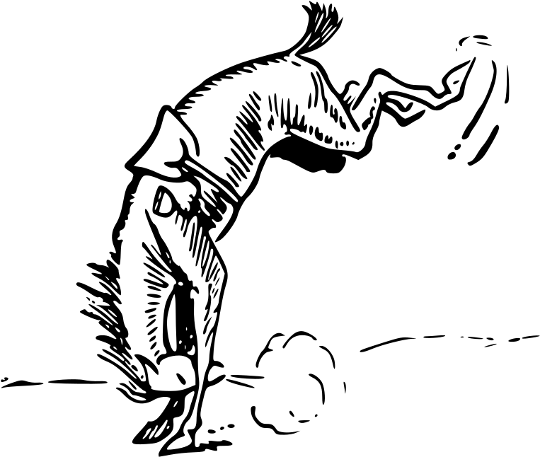 Medium Image (800x683), Png Download