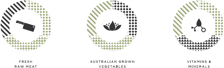 Nutrition Icons Web (1080x500), Png Download