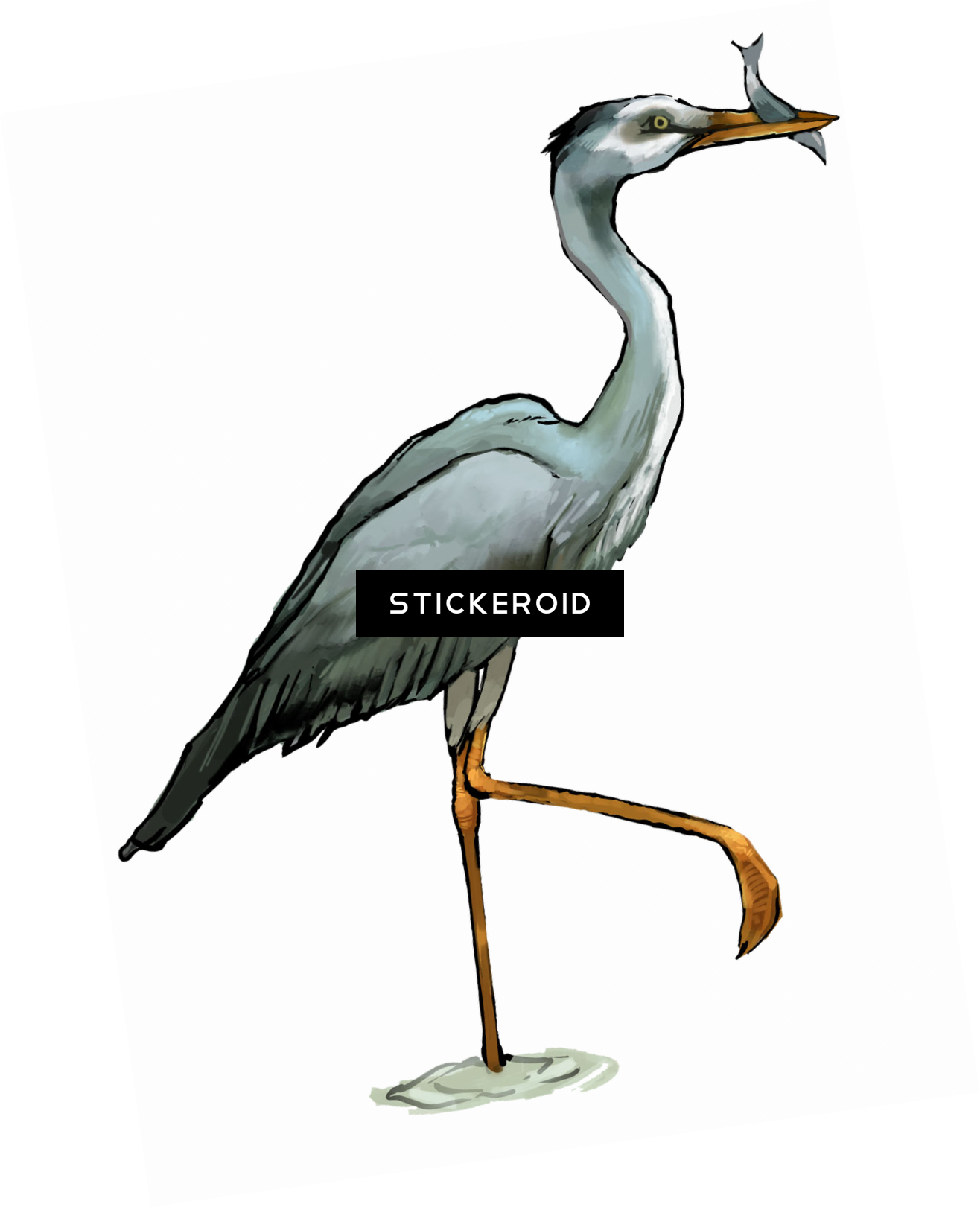 Heron Birds (1316x1621), Png Download