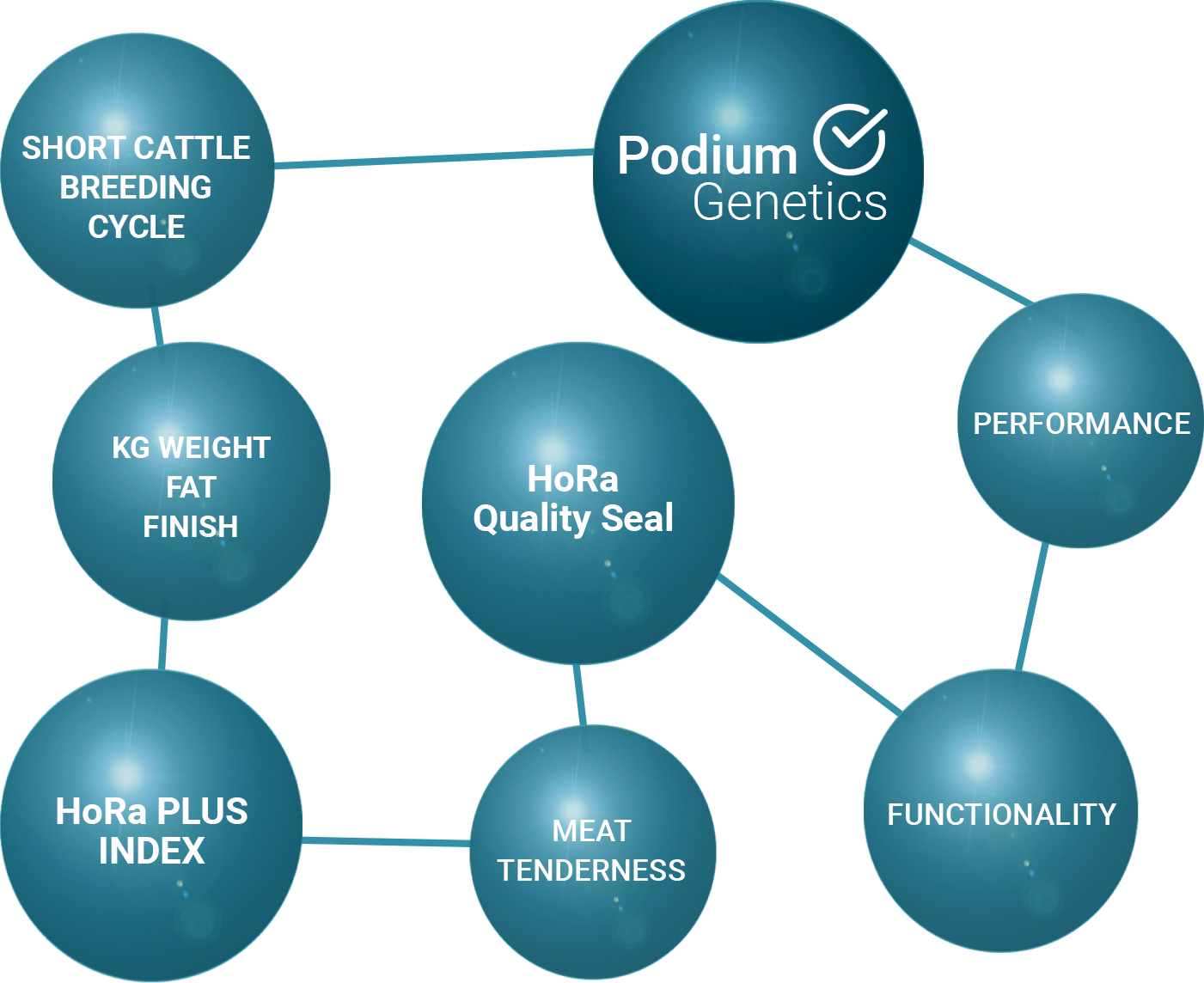 2018 Hora Höfig Ramos (1401x1144), Png Download