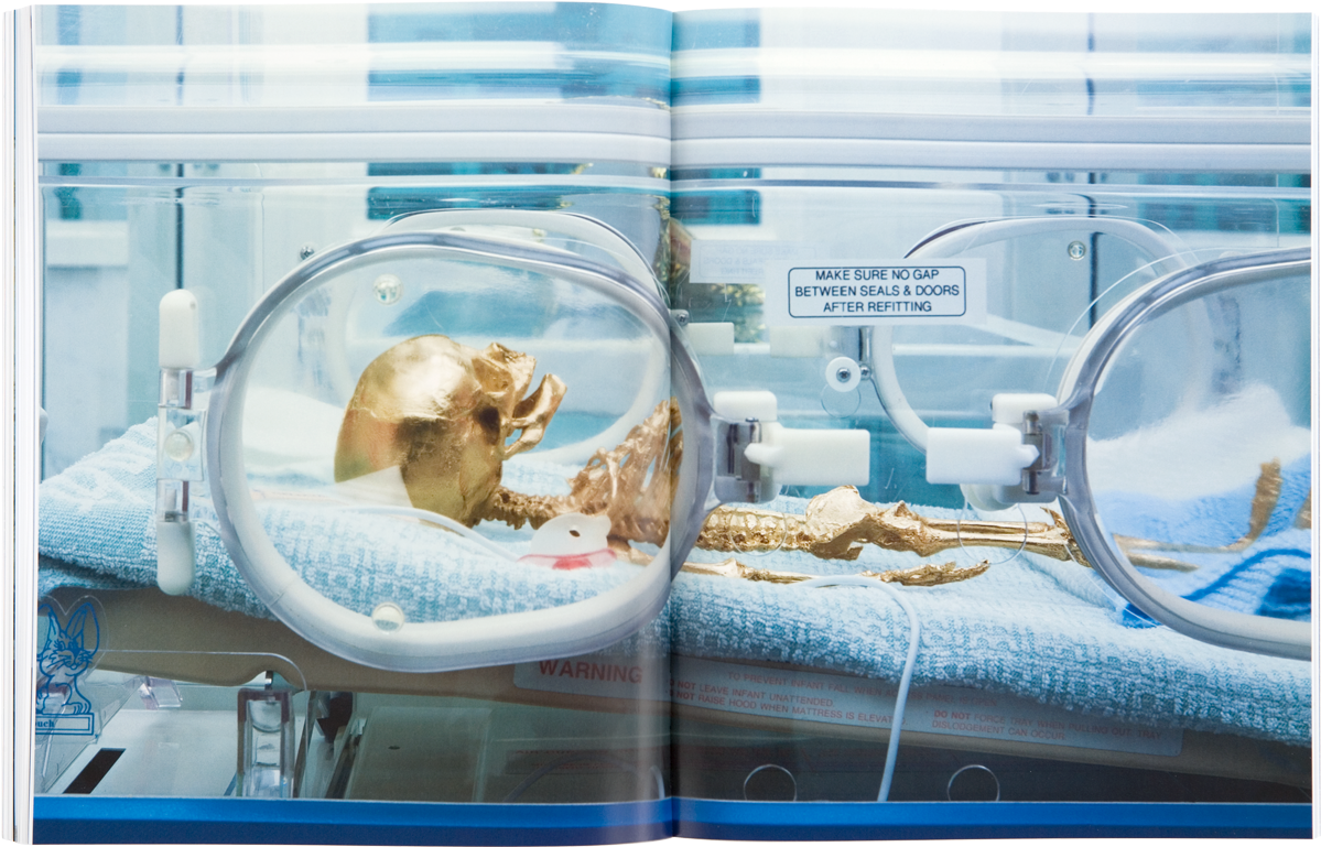 Damien Hirst Beyond Belief Signed Catalogue (1198x1198), Png Download