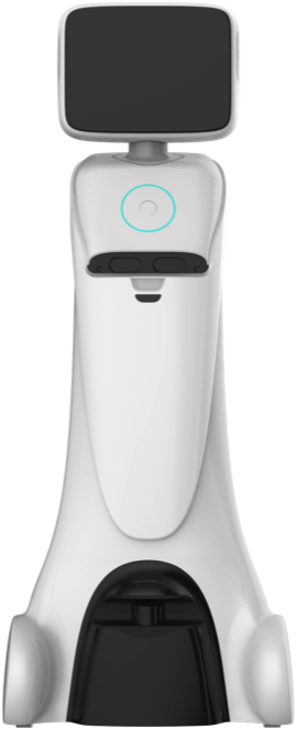 Amy A1 Or Y1 Robot Front View (937x808), Png Download