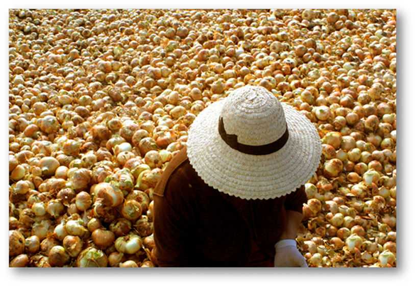 Un Domingo Con Mamá En El Monumento Al Campesino (822x570), Png Download