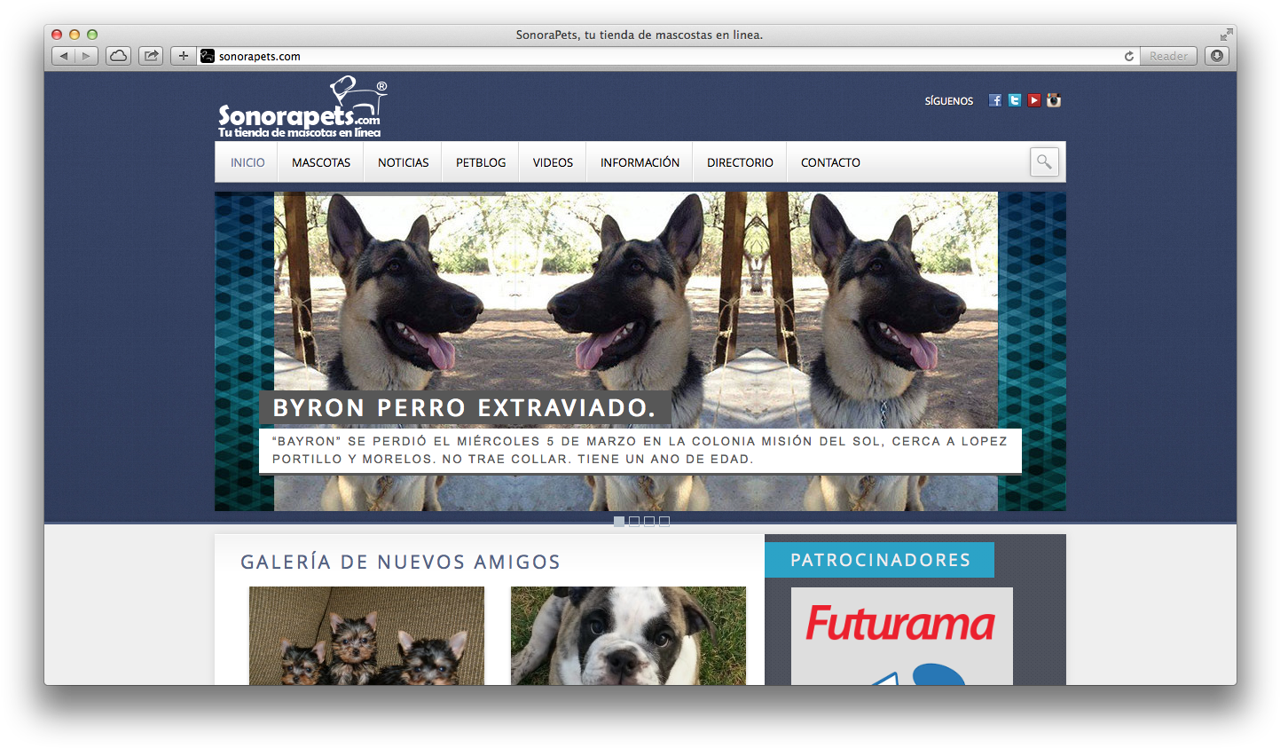 Perritos Png (1458x858), Png Download
