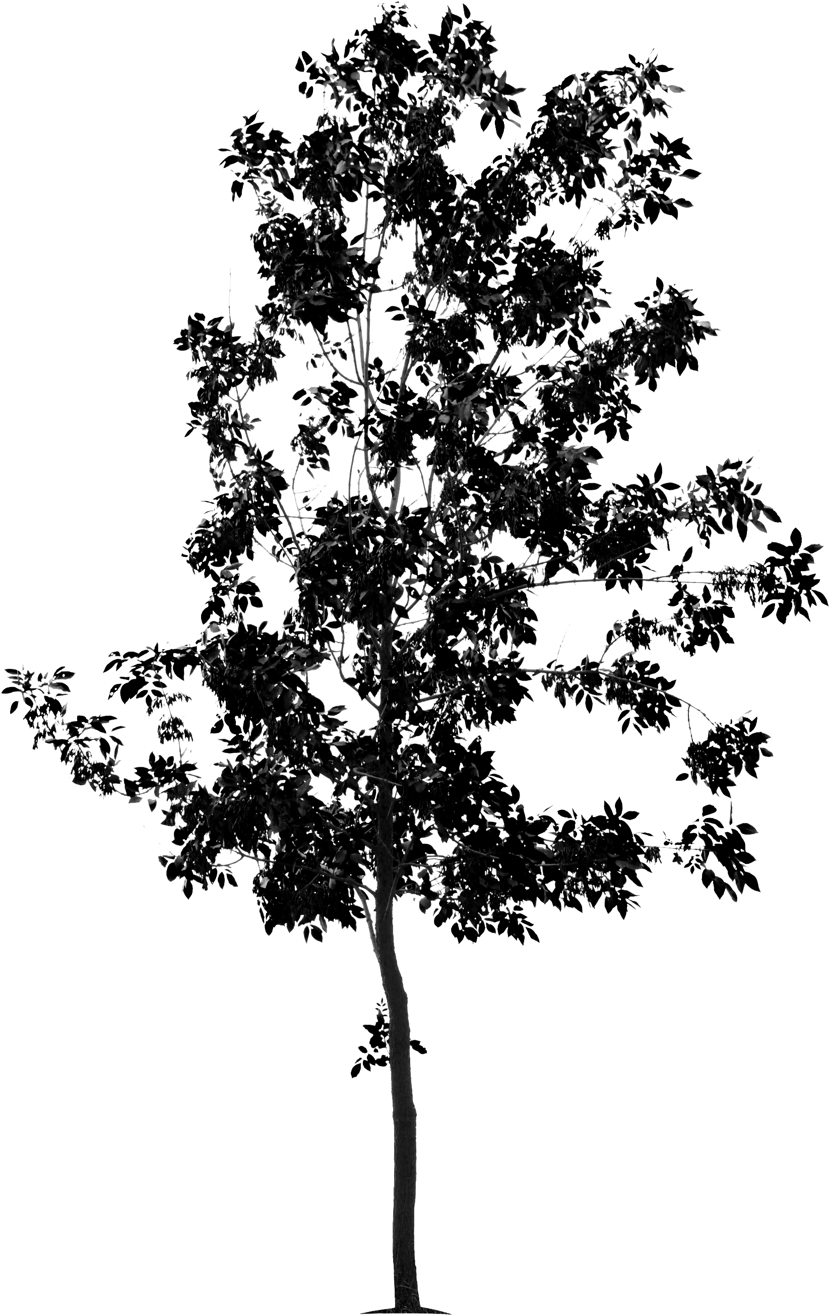 Partager Via Un Média Social (1795x2783), Png Download