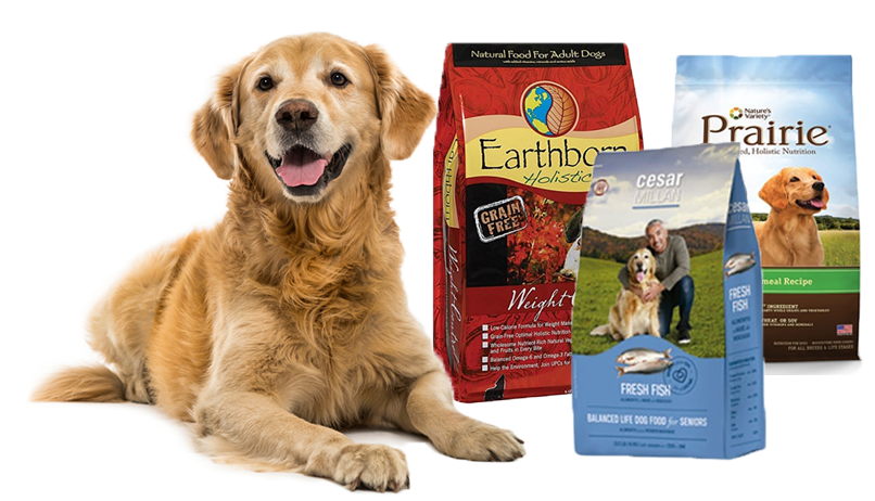 Los Perros Con Sobrepeso Tienen Una Mayor Incidencia (818x464), Png Download