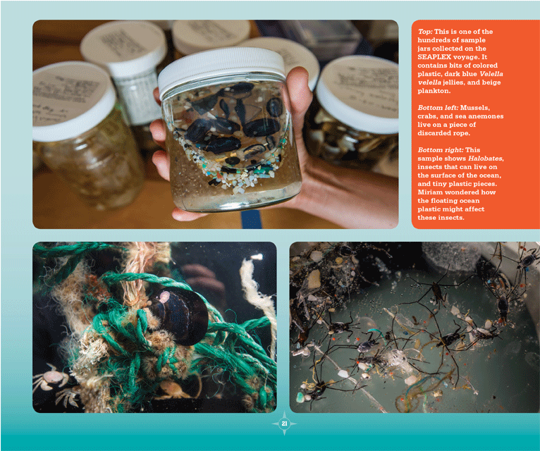 Plastic Ahoy Page (900x900), Png Download