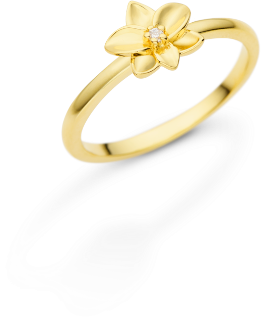 Passe O Mouse Para Ampliar (1000x1000), Png Download