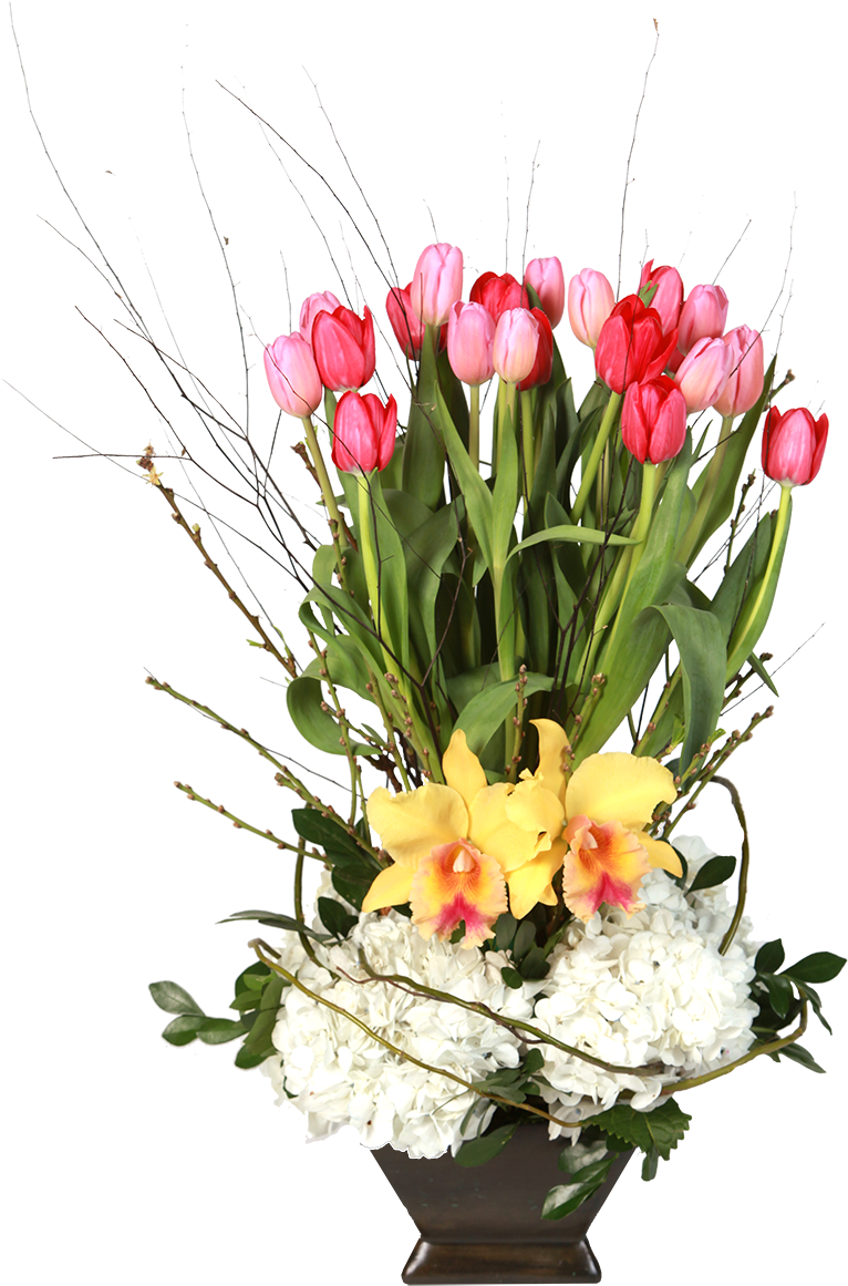 Orquidea Png (1320x1320), Png Download