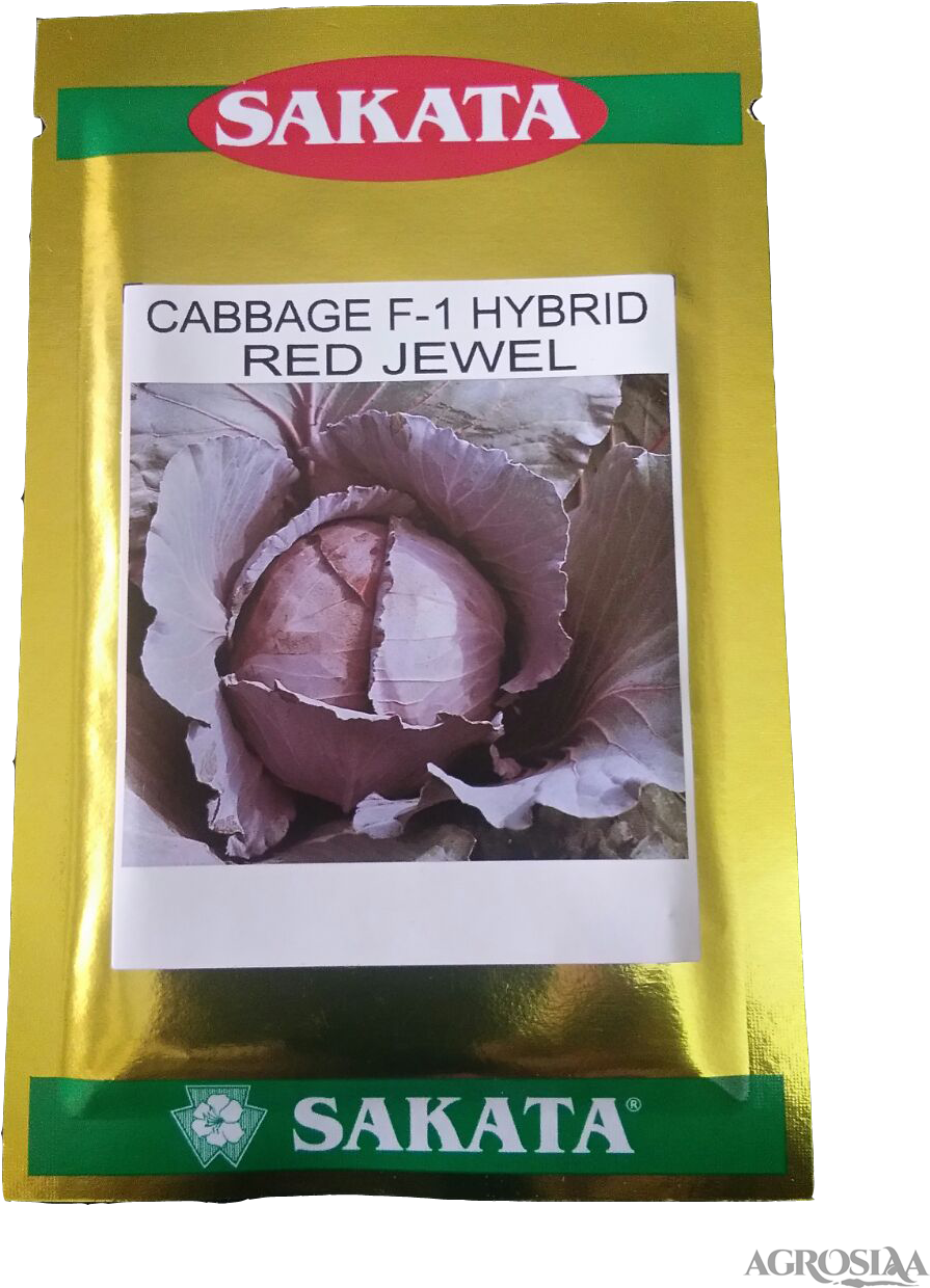 Sakata (960x1280), Png Download