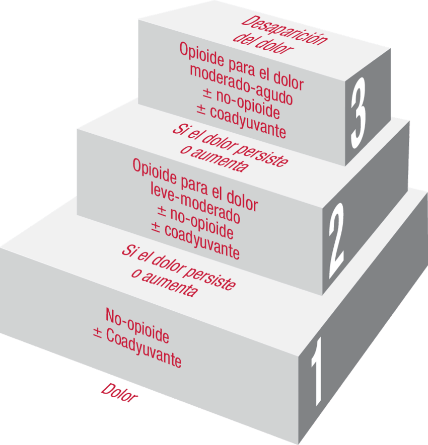 Escalera Analgésica De La Oms De Tres Peldaños (850x885), Png Download