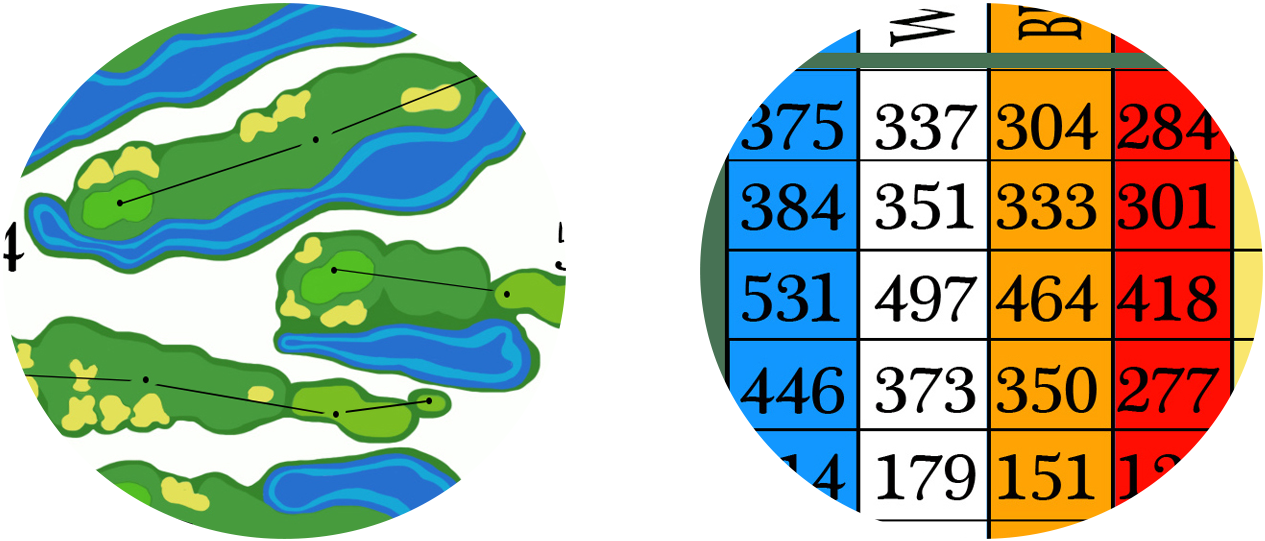 Scorecard Circle Png (1440x564), Png Download