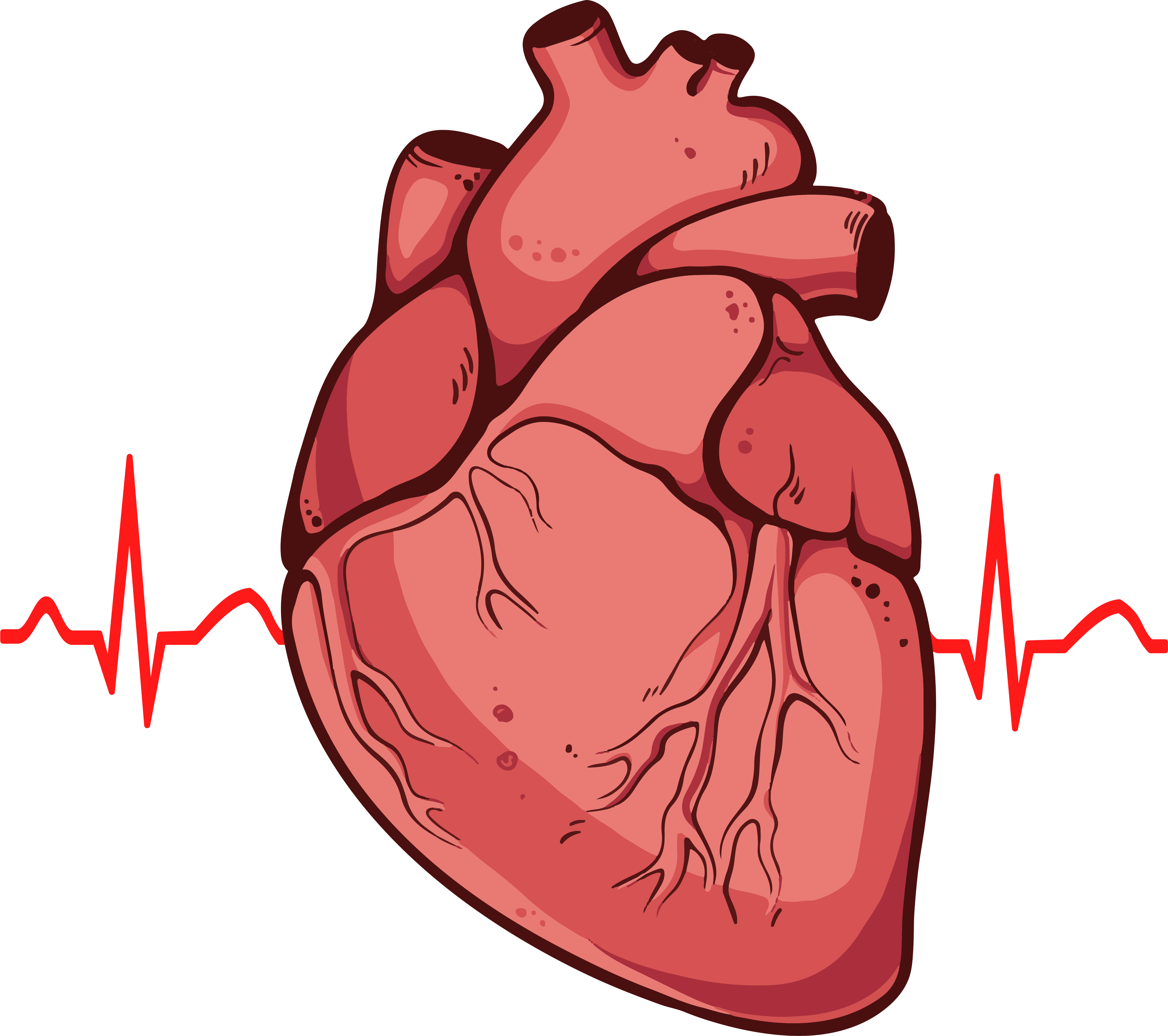 Real Heart Drawing Easy (4456x3951), Png Download