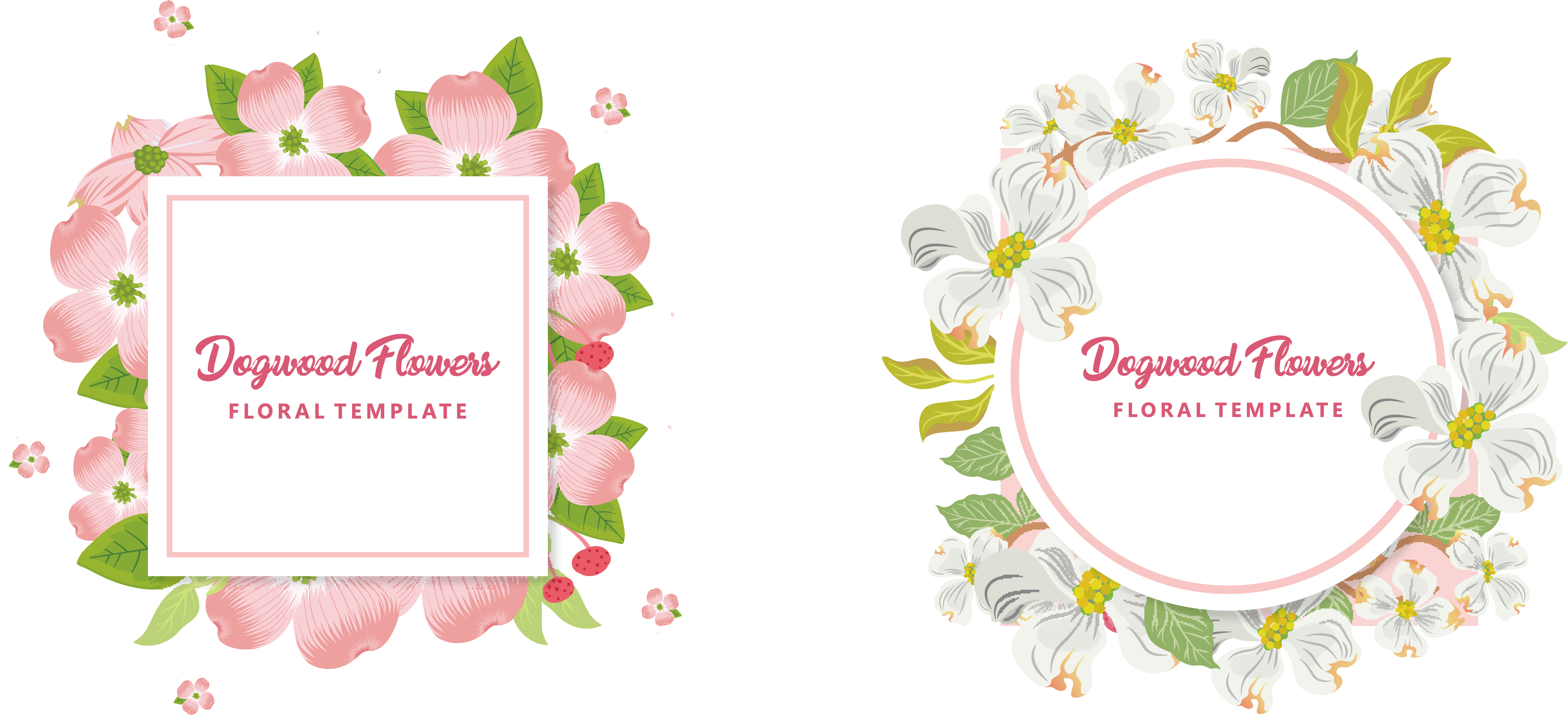Flowering Wedding Invitation Euclidean - Flowering Dogwood (5232x2423), Png Download
