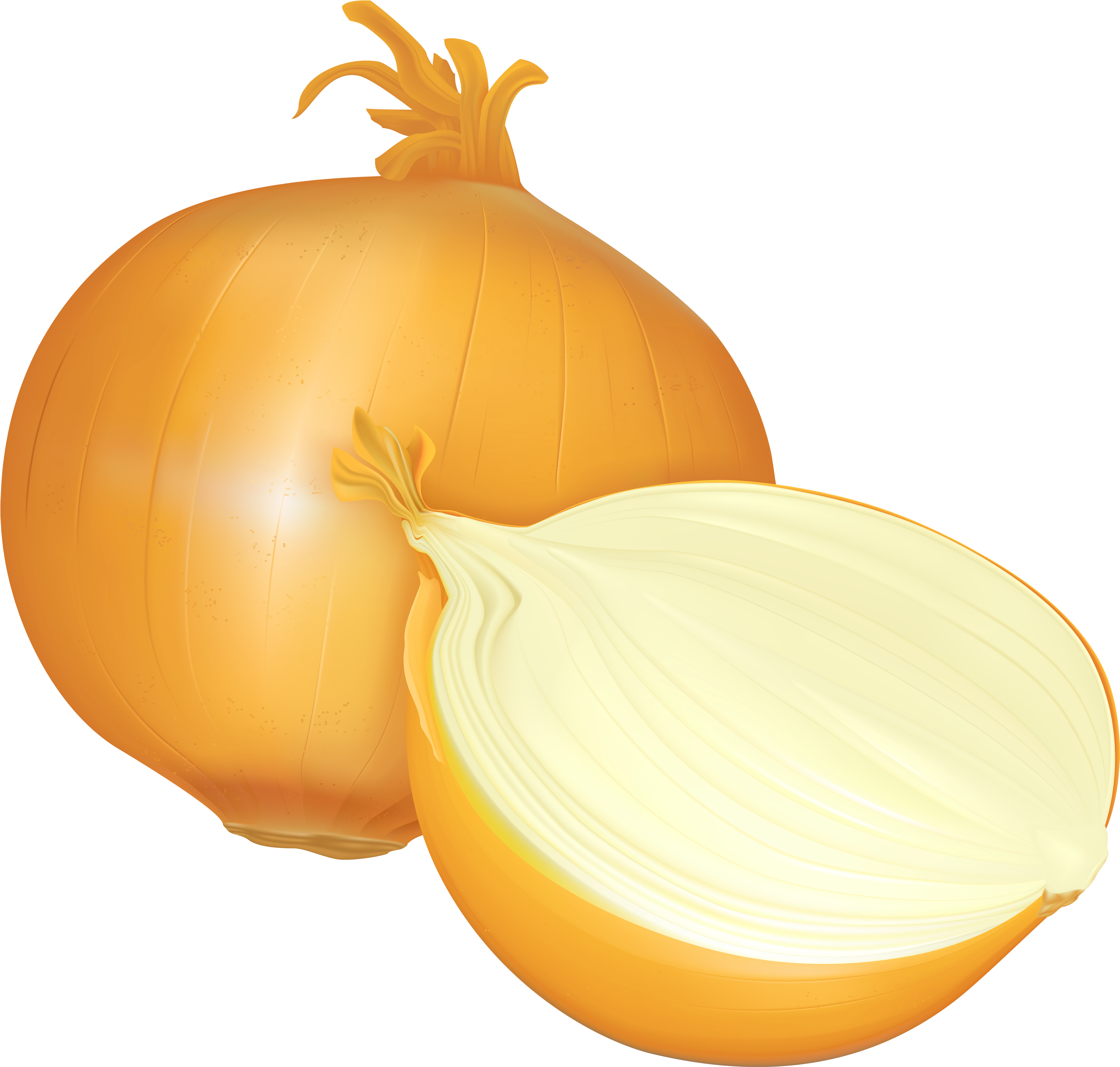Png Best Web - Onion Clipart No Background (3500x3335), Png Download